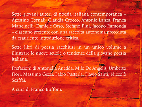poesia contemporanea xiii quaderno back