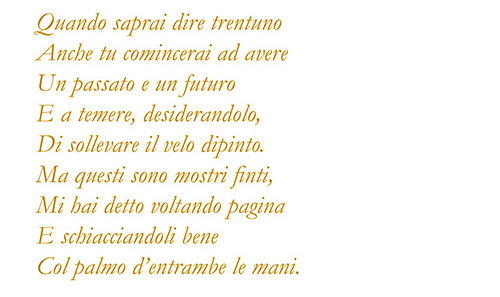 tana scoiattolo back